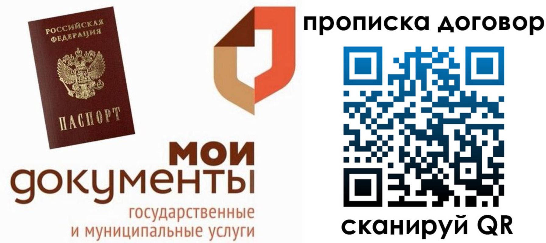 где прописаться в Коле