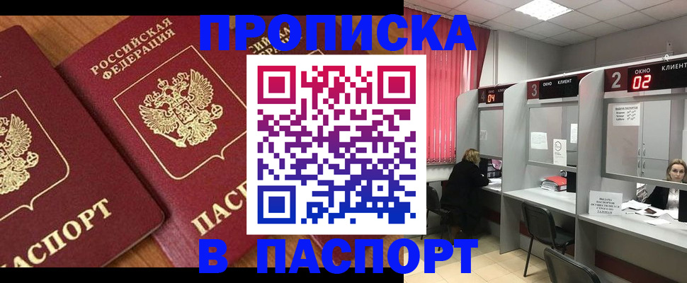 где прописаться в Коле